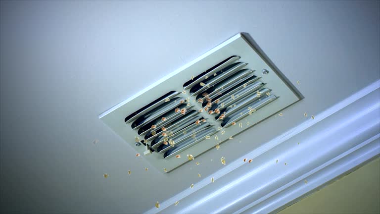 Best Home Air Vent Cleaning  in Florence, CO