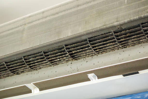 Best Commercial HVAC Duct Cleaning  in Florence, CO